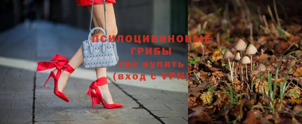 амф Аркадак